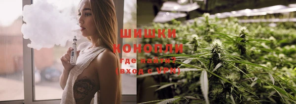 дурь Козловка
