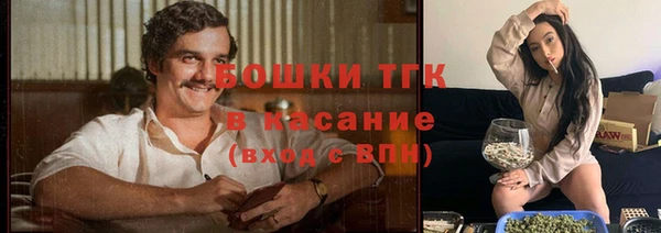 дурь Козловка