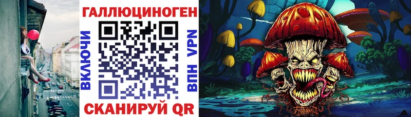 Псилоцибиновые грибы Psilocybe  Купить  Коркино 